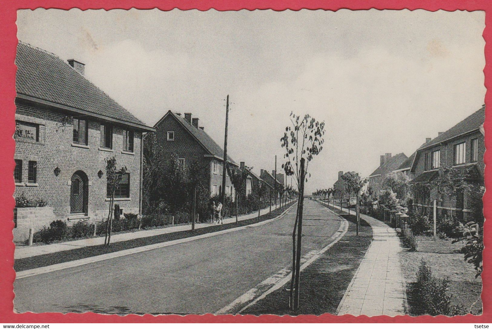 Hannut - Avenue Général Piere - 1957 ( Voir Verso ) - Hannuit