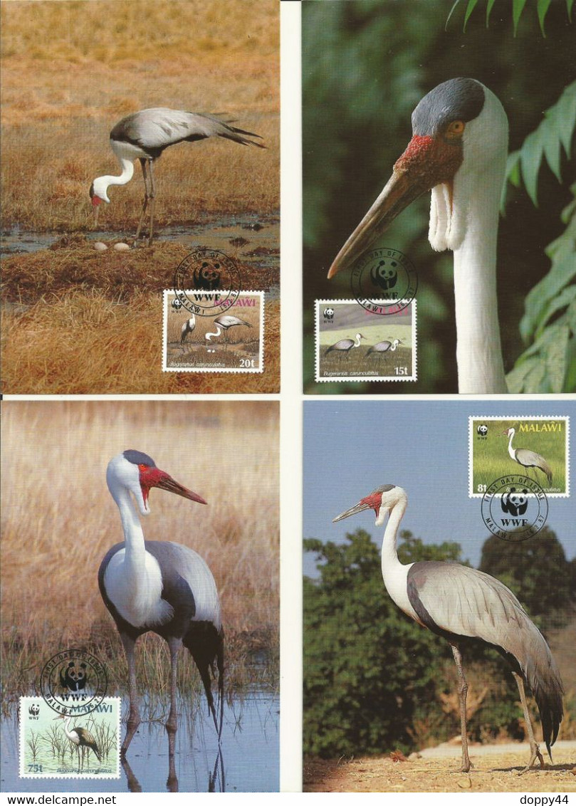 LOT 4 CARTES MAXIMUM WWF MALAWI  GRUES. - Cartoline Maximum