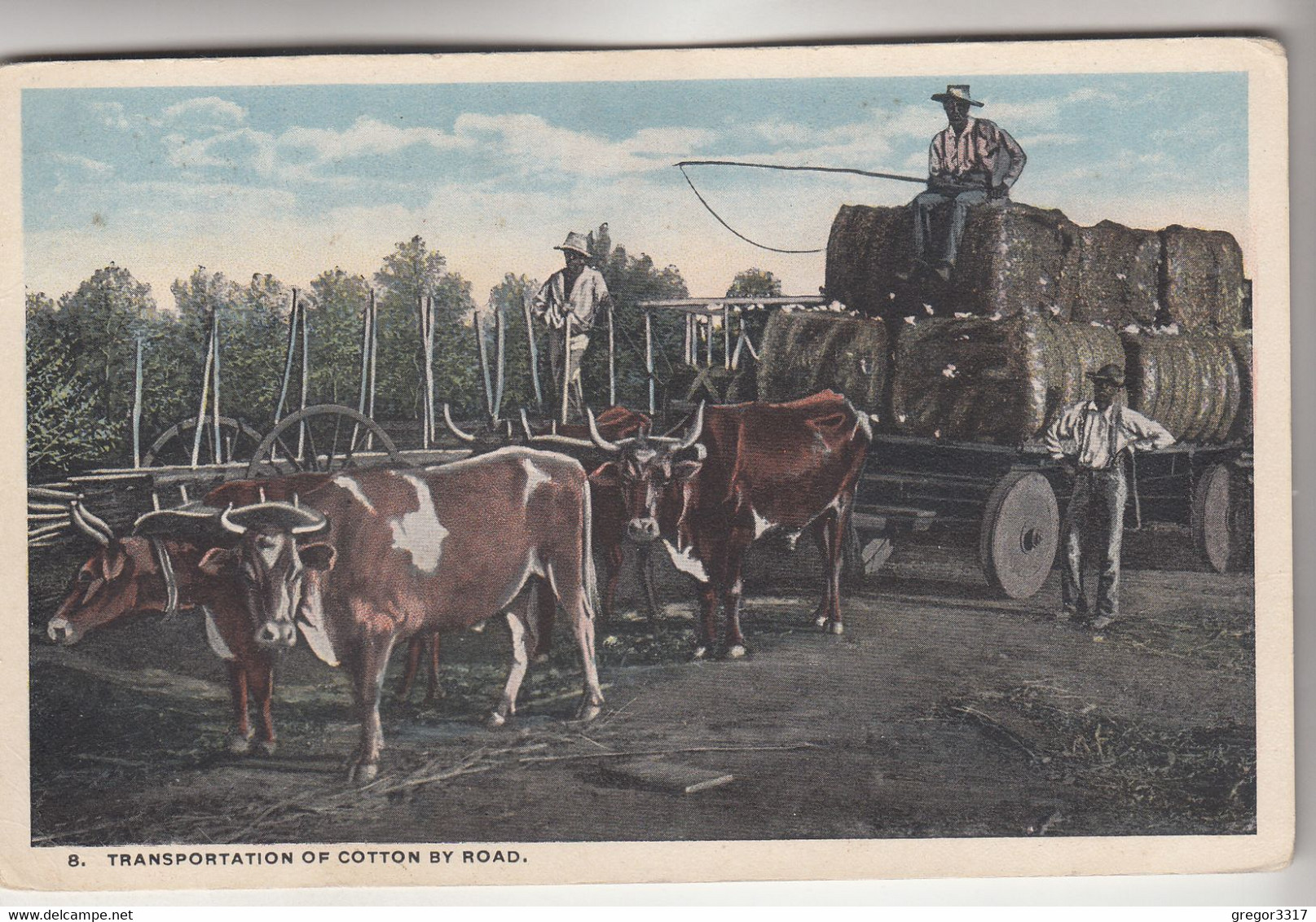 C1415) Transportation Of COTTON By ROAD - Old !! - Black Americana