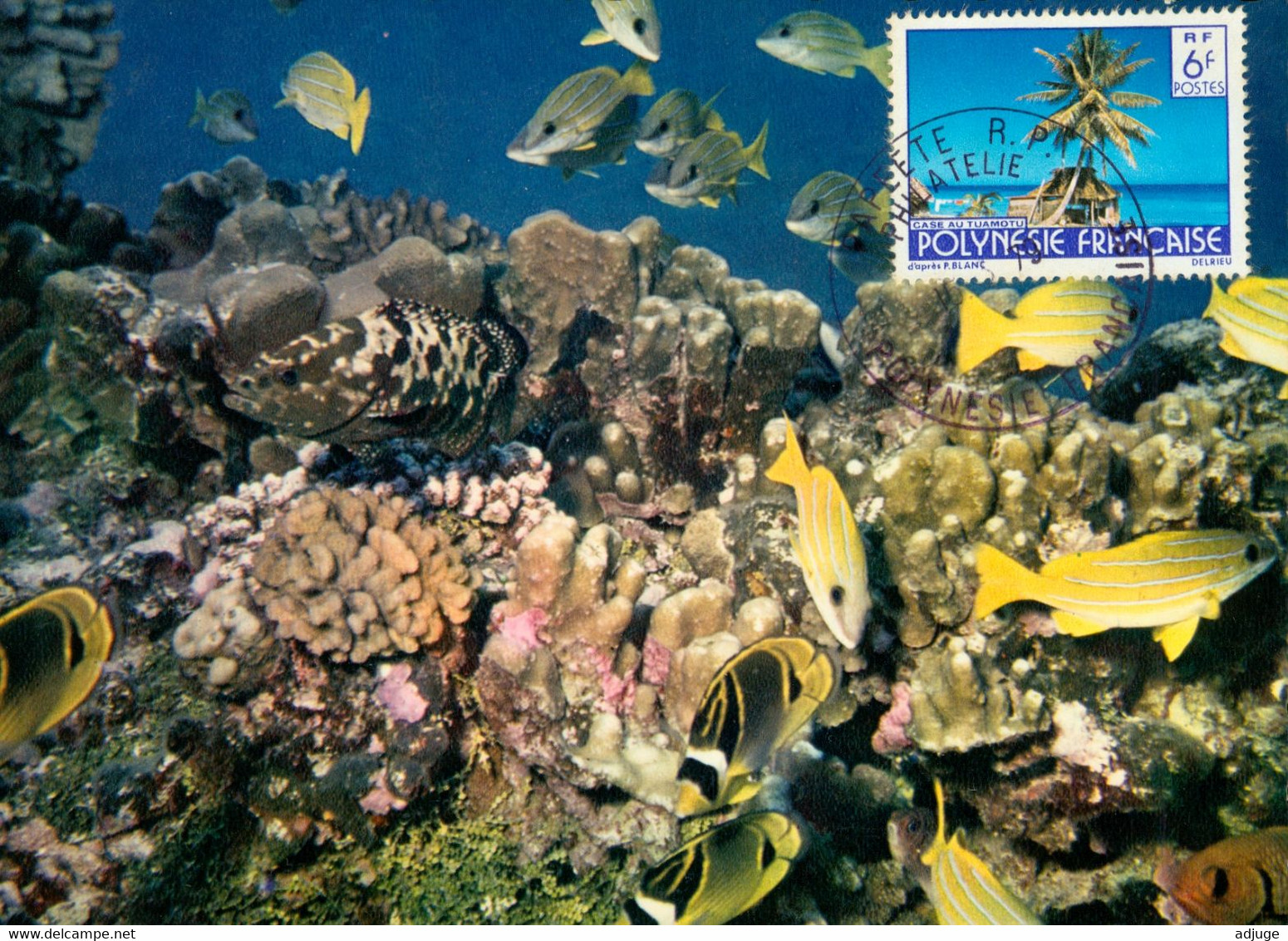 BORA BORA - Jardin De Corail-_Oblitération Philatélique PAPEETE * Timbre Case Au Tuamotu 6 Fr.. 2 Scan - Polynésie Française