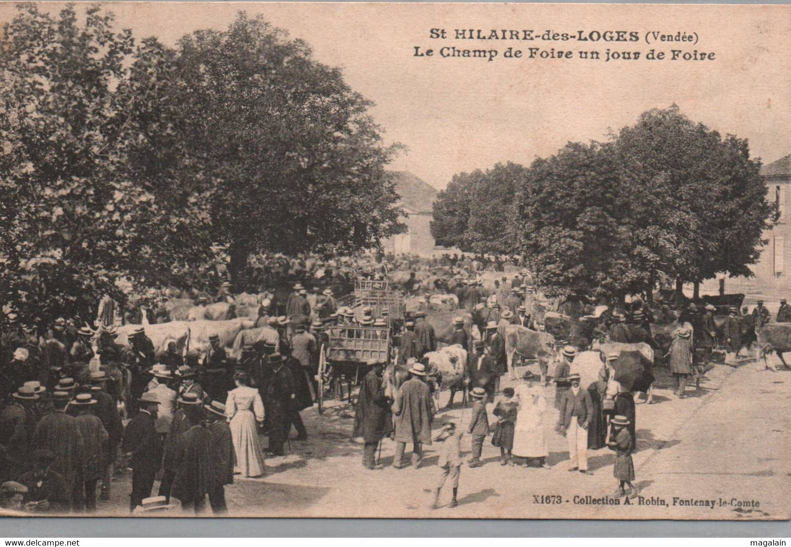 St Hilaire Des Loges : Le Champ De Foire, Un Jour De Foire - Saint Hilaire Des Loges