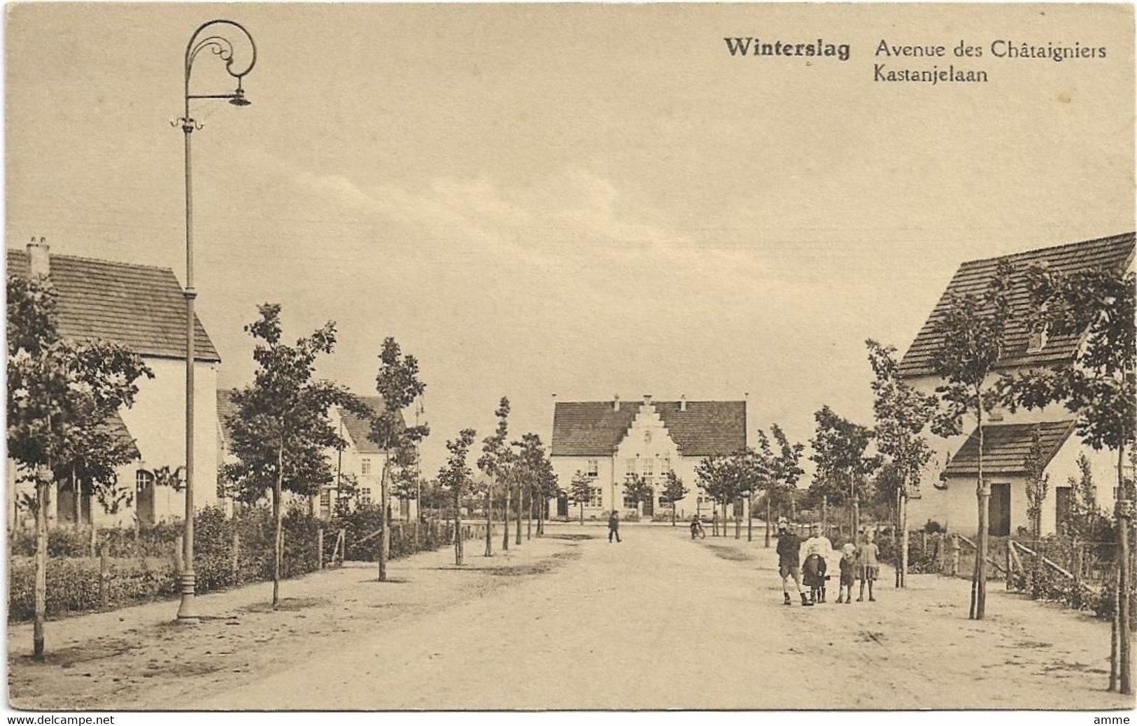 Winterslag  *  Avenue Des Châtaigniers - Kastanjelaan - Genk