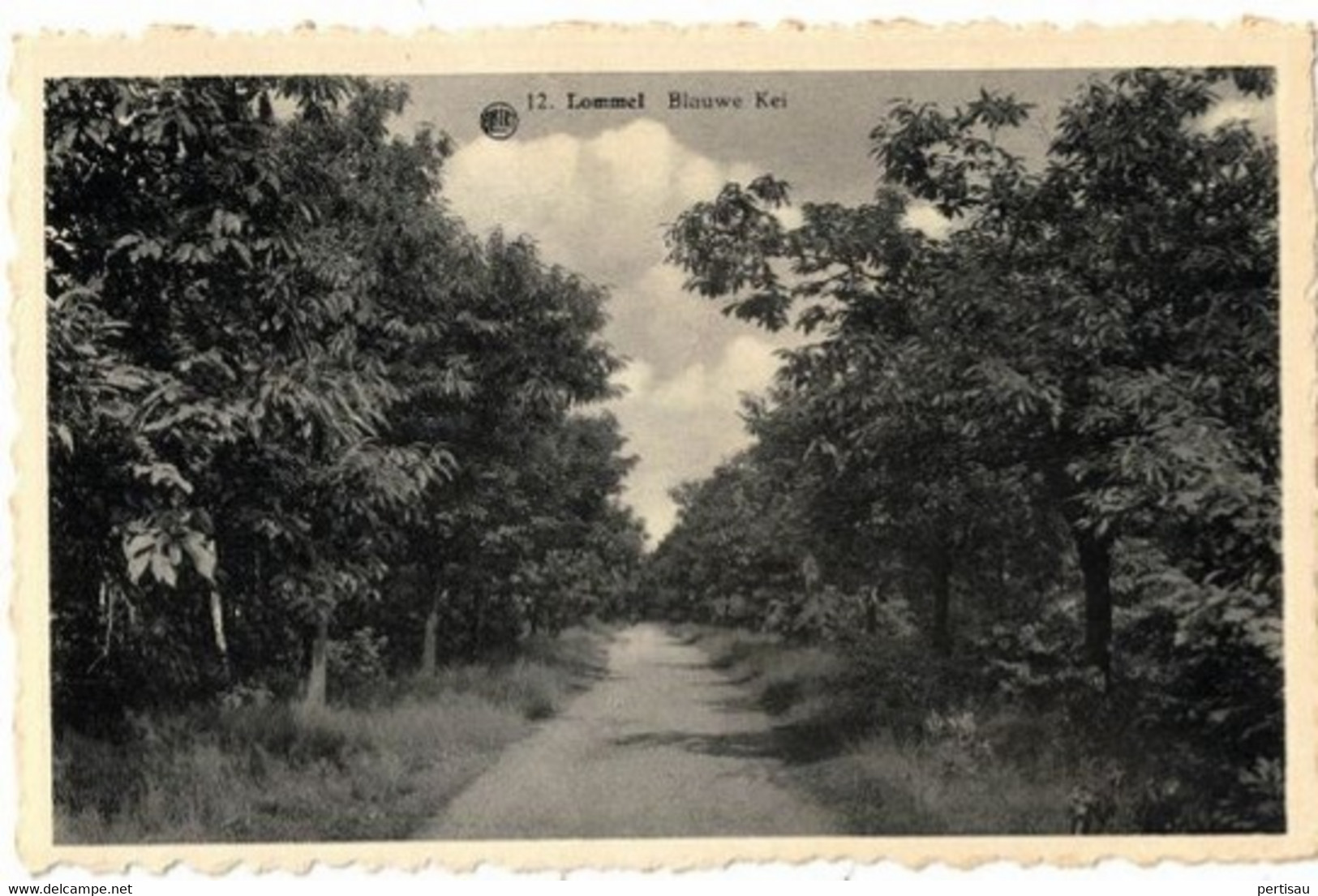 Blauwe Kei  Fotokaart - Lommel