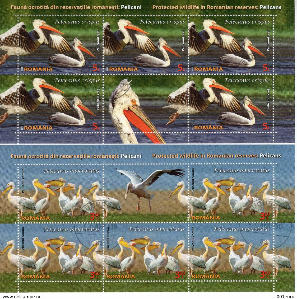 ROMANIA 2022:  BIRDS - PELICANS 4 Used Small Sheets - Registered Shipping! - Gebruikt