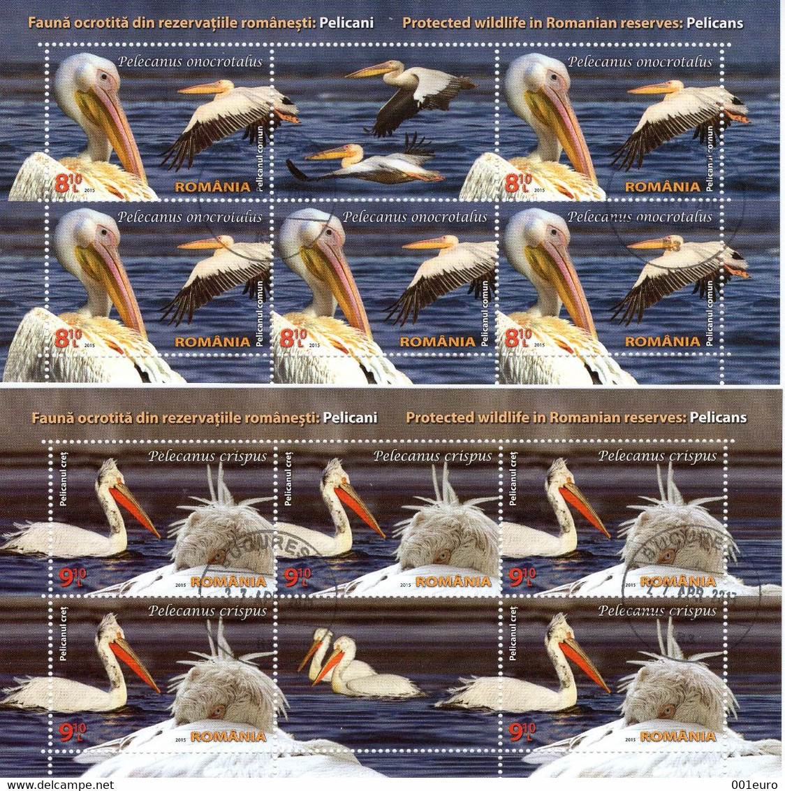 ROMANIA 2022:  BIRDS - PELICANS 4 Used Small Sheets - Registered Shipping! - Usati
