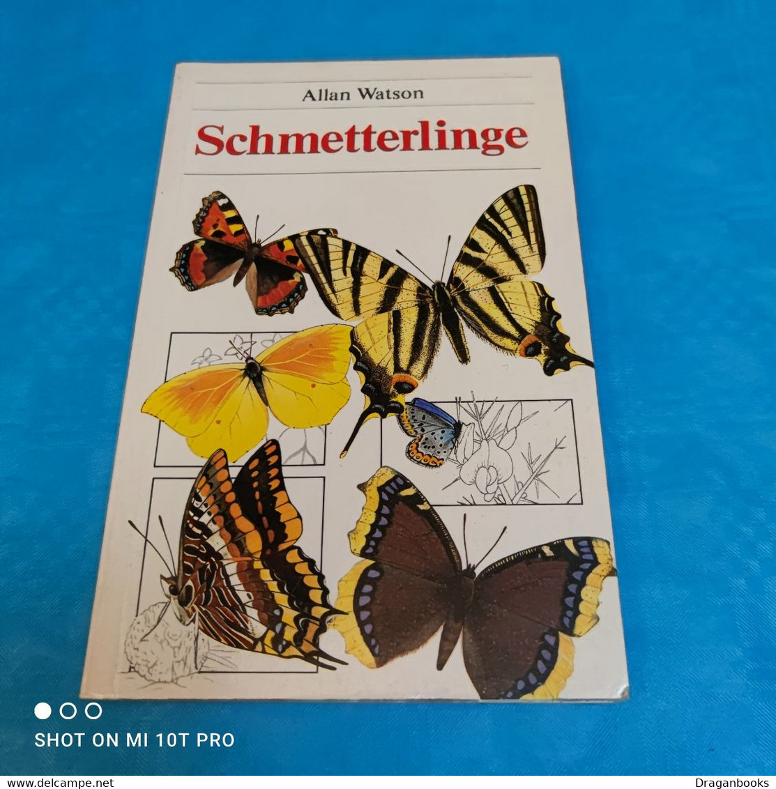 Allan Watson - Schmetterlinge - Dieren