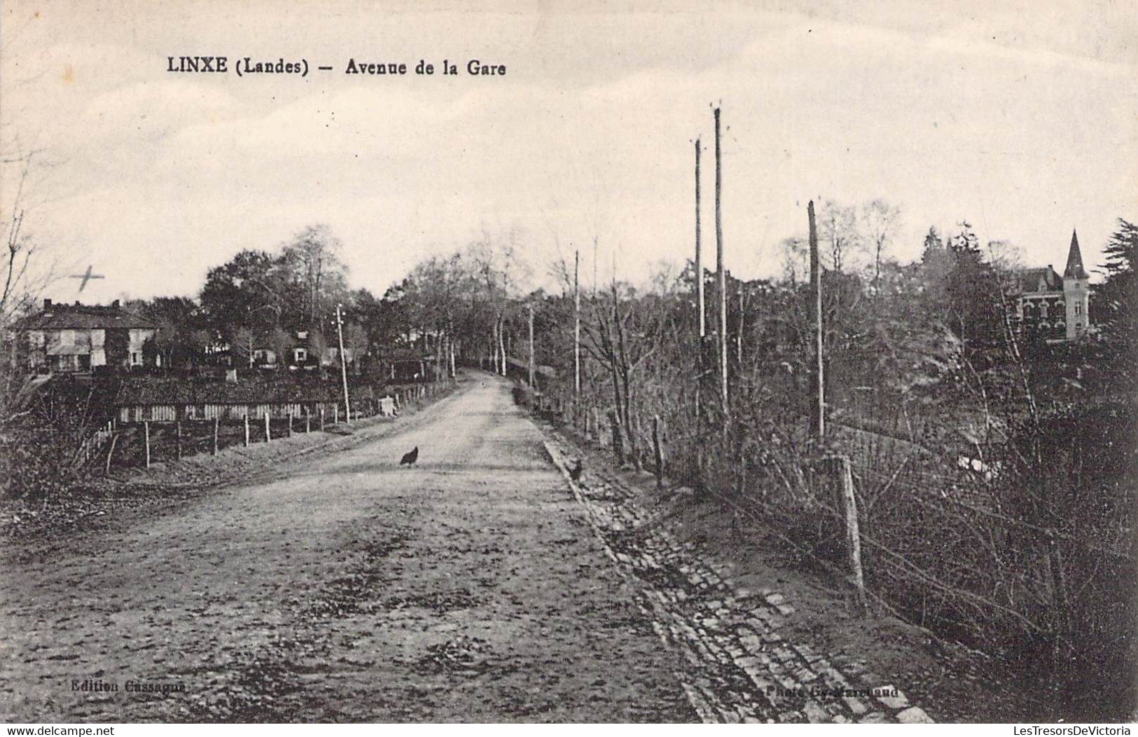 CPA France - Landes - Linxe - Avenue De La Gare - Oblitérée - Rue - Poule - Campagne - Château - Route - Andere & Zonder Classificatie