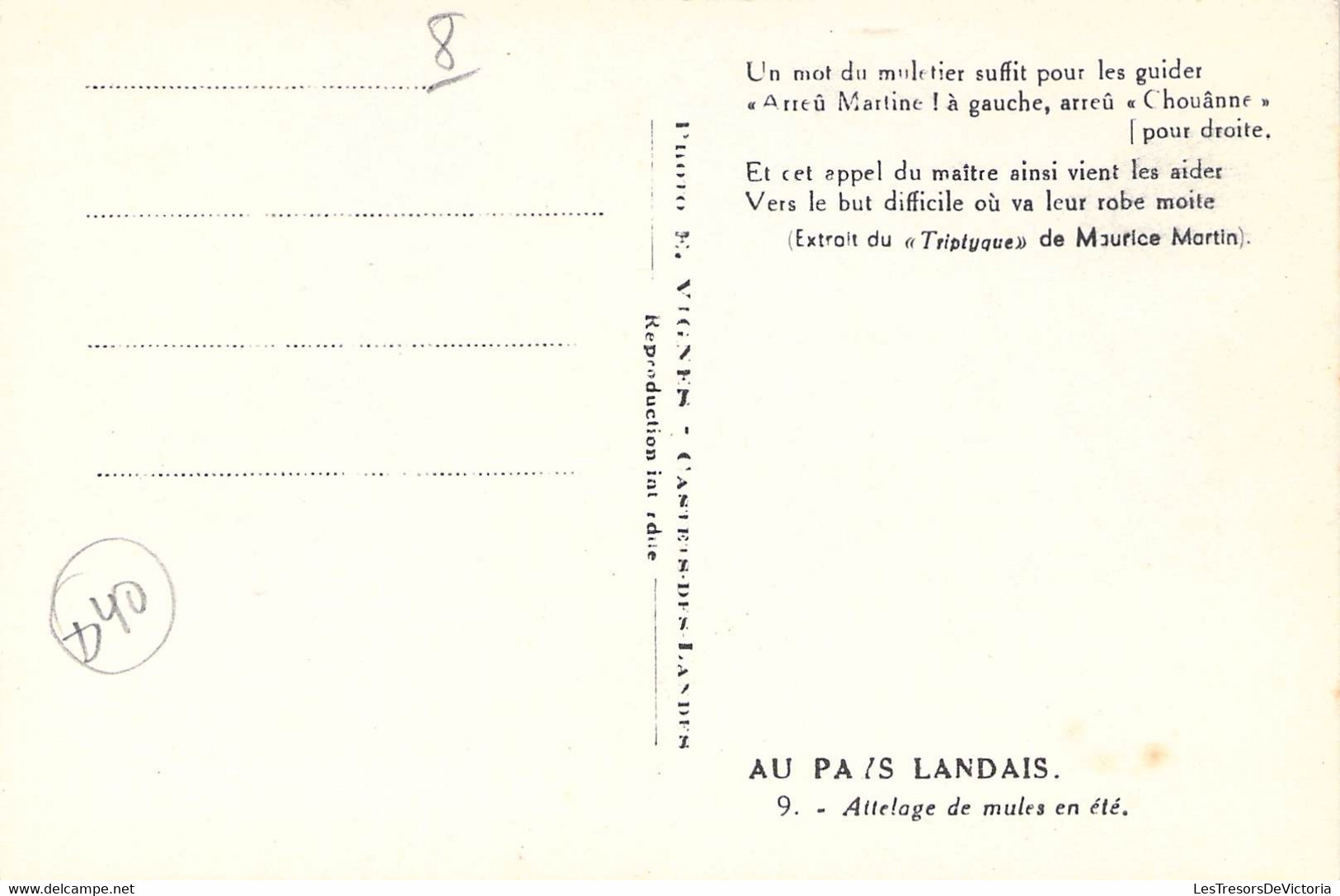 CPA France - Landes - Au Pays Landais - Attelage De Mules En été - Photo E. Vignes - Castets Des Landes - Autres & Non Classés