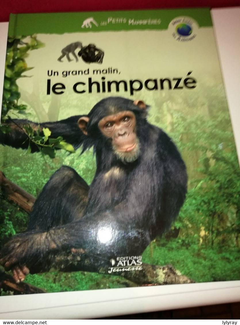 LE CHIMPANZE ATLAS JUNIOR DES ANIMAUX - Bibliothèque De La Jeunesse