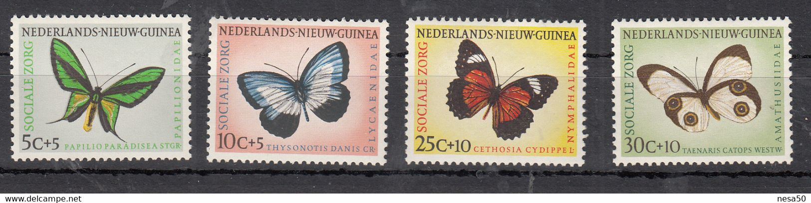 Nederland Nieuw-Guinea 1960 Mi Nr 63 - 66,  Vlinders, Butterfly, Postfris - Niederländisch-Neuguinea