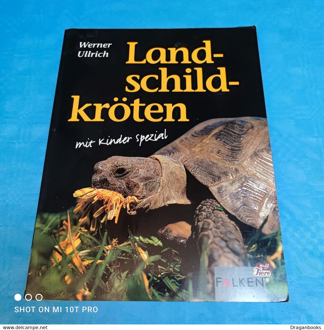 Werner Ulrich - Landschildkröten - Animaux