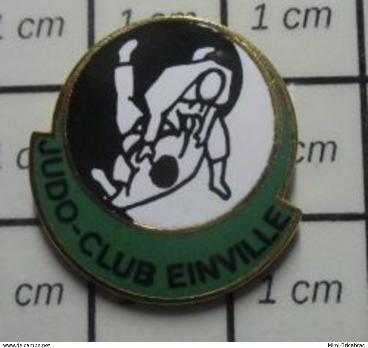 815A Pin's Pins / Beau Et Rare / SPORTS /  JUDO-CLUB DE EINVILLE Meurthe-et-Moselle, En Région Grand Es - Transports