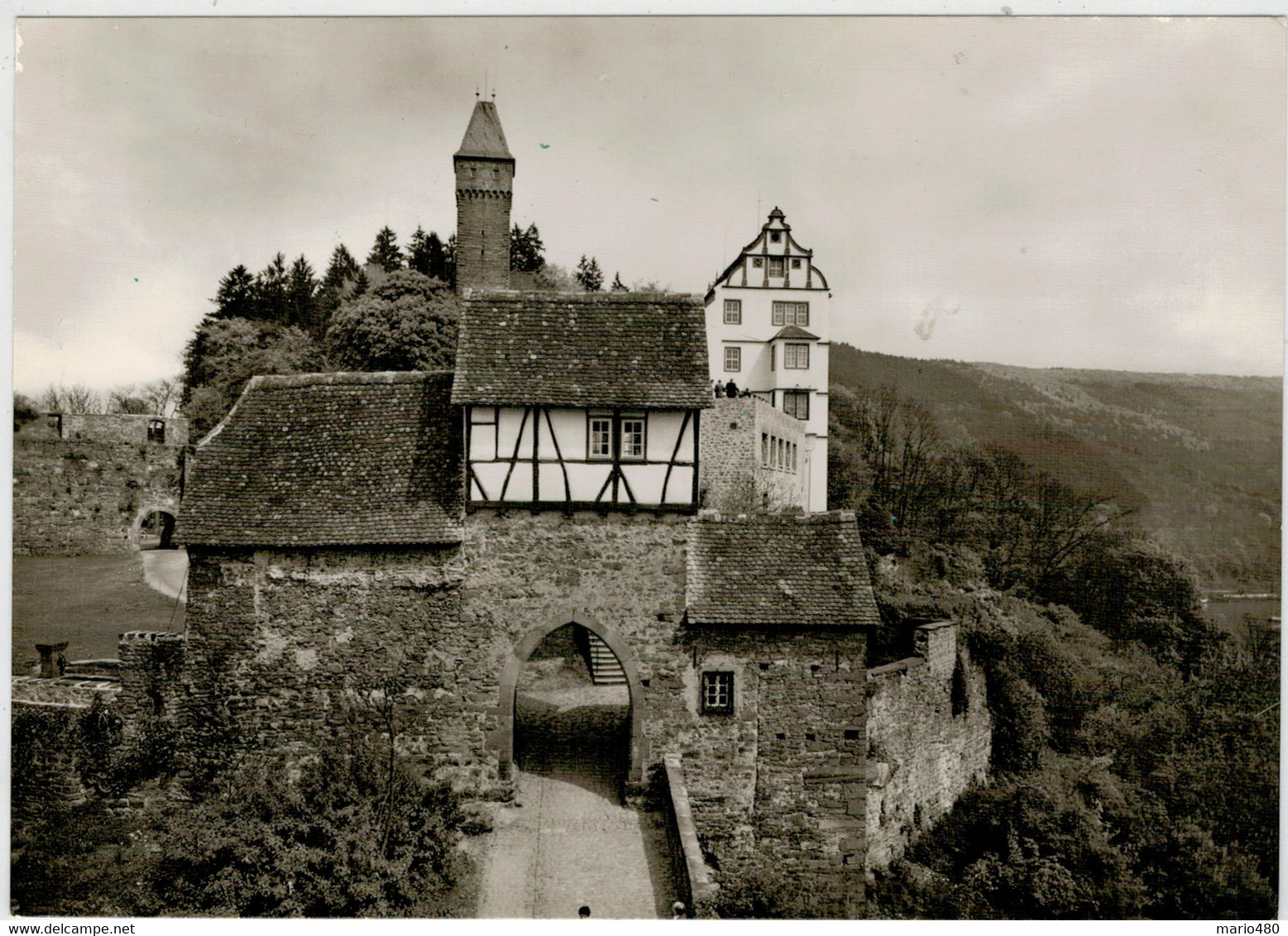 HIRSCHHORN    AM  NECKAR    BURG  HIRSCHHORN       (NUOVA) - Neckarsulm