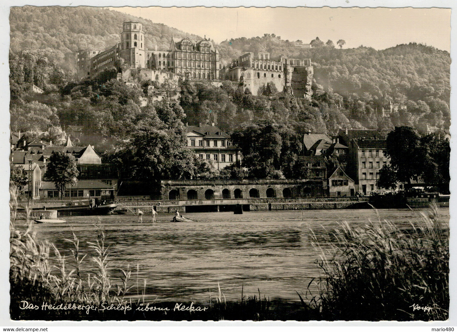 DAS  HEIDELBERGER   SCHLOSS  UBERN   NECHAX         (NUOVA) - Neckarsulm