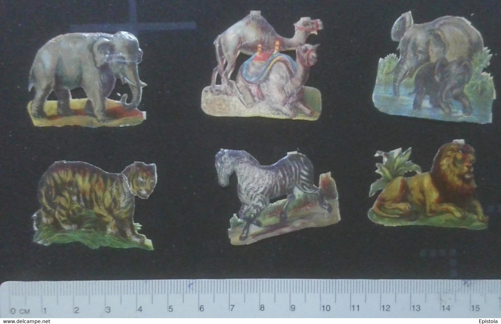 ► LOT Animal Africa (Animaux D'Afrique Ou Zoo)  Découpis époque Victorienne XIXe "Victorian Die-cuts" - Tiere