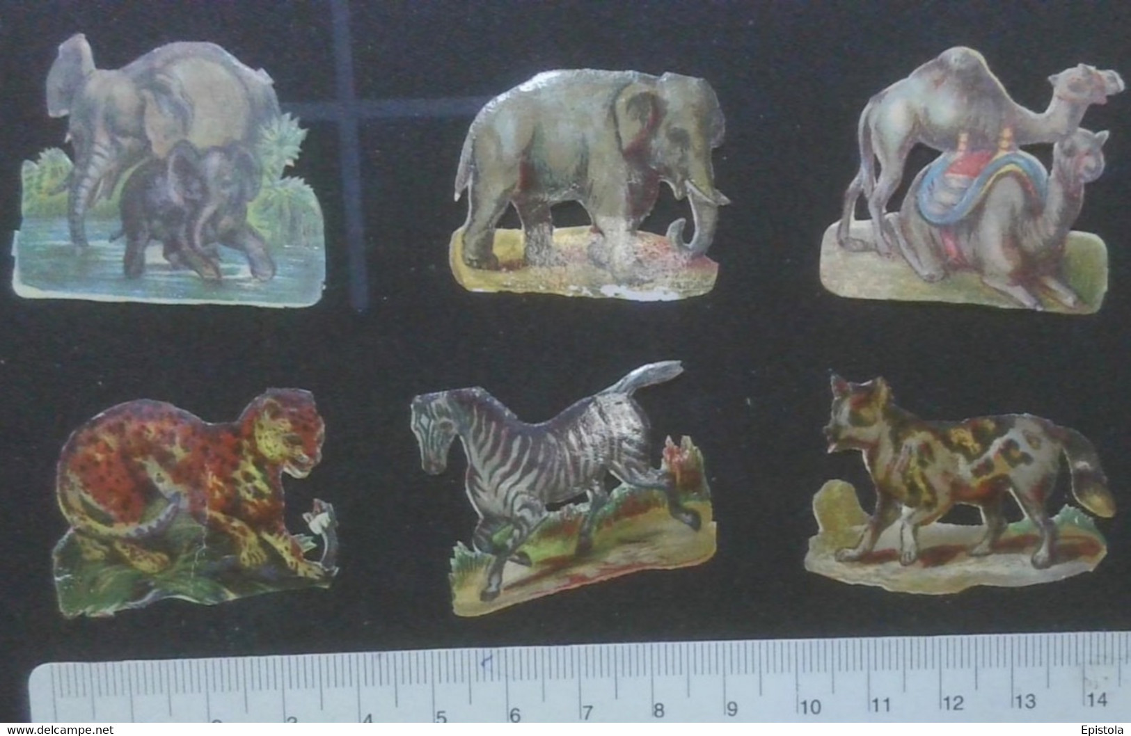 ► LOT Animal Africa (Animaux D'Afrique Ou Zoo)  Découpis époque Victorienne XIXe "Victorian Die-cuts" - Enfants