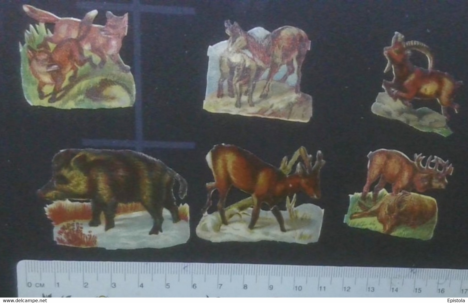 ► LOT Forest Animal  (Animaux Sauvages De La Forêt)  Découpis époque Victorienne XIXe "Victorian Die-cuts" - Enfants