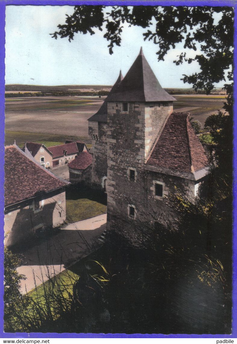 Carte Postale 86. Dange  Chateau De La Chèze Très Beau Plan - Dange Saint Romain