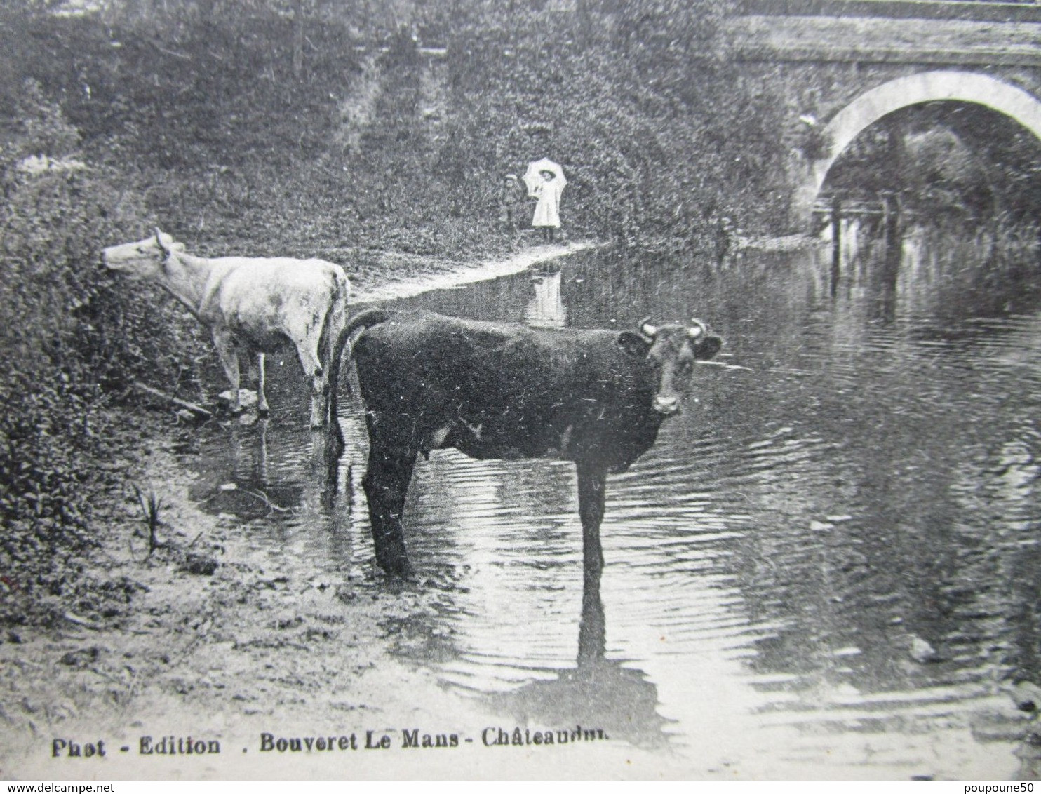 CPA 72 Sarthe BRULON - Le Pont Un Coin Sur La Vègre Abreuvage Du Troupeau  Vaches  1910 - Brulon
