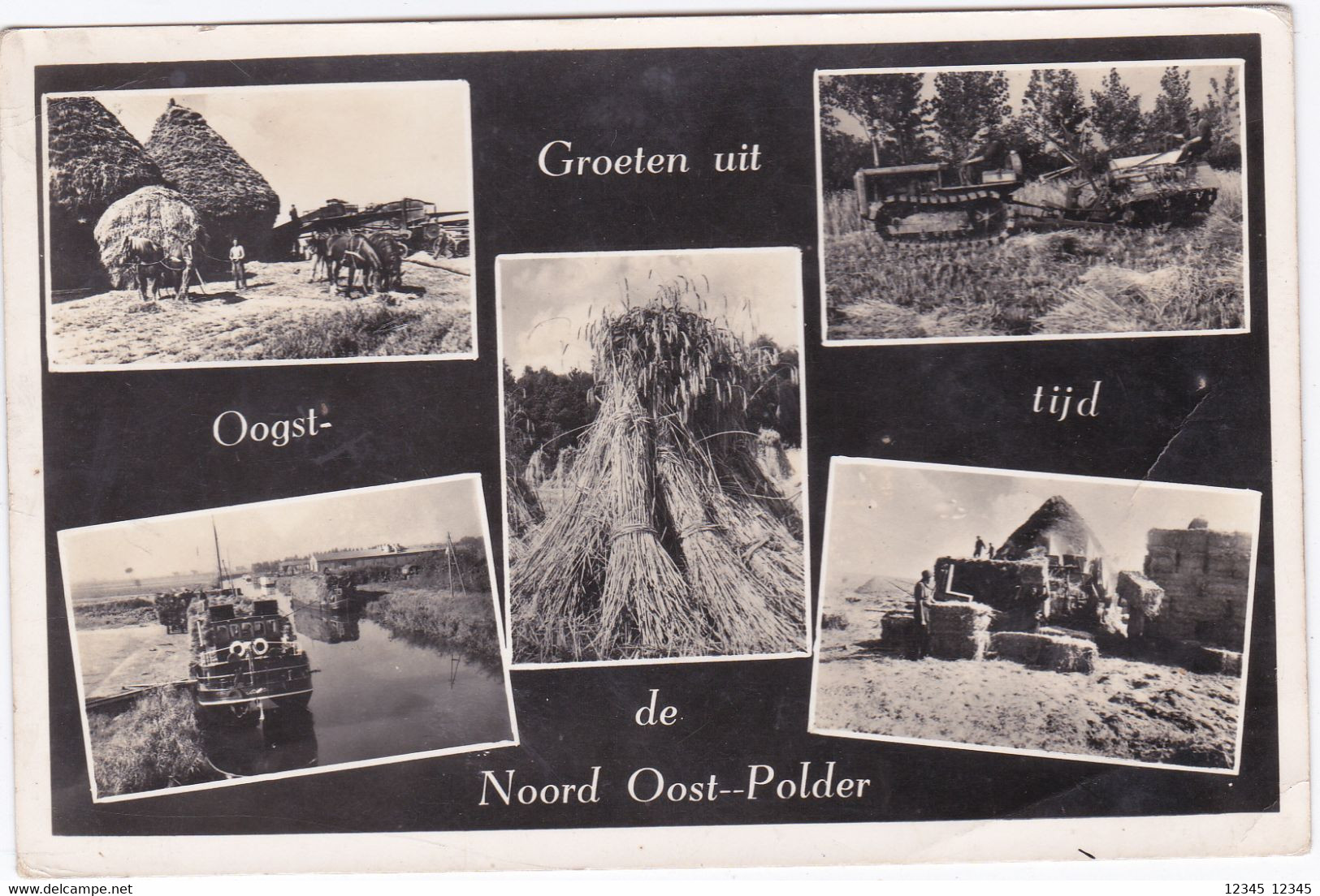 Groeten Uit Oogsttijd De Noord Oost Polder - Otros & Sin Clasificación