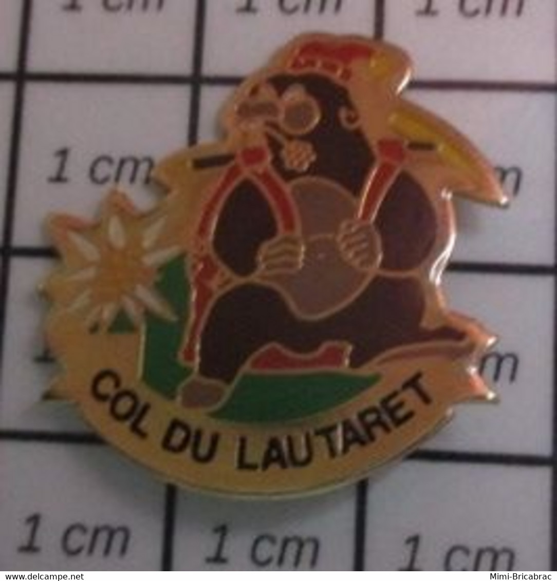 1416B Pin's Pins / Beau Et Rare / ANIMAUX / MARMOTTE AVEC SAC A DOS COL DU LAUTARET EDELWEISS - Animaux