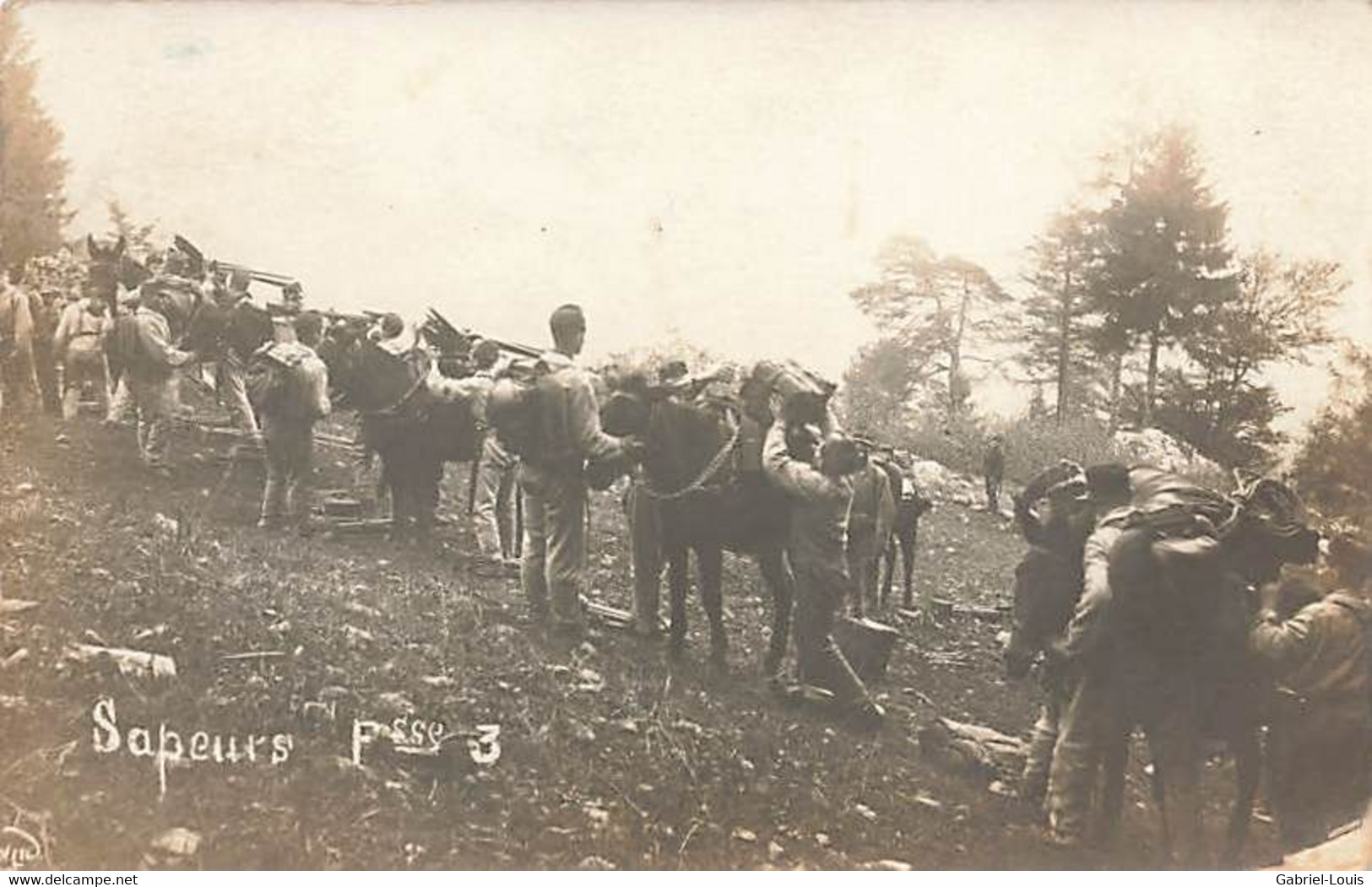 Carte Photo  Schweizer Armee  Armée Suisse Militaria Sapeurs Mulets Maultier - Other & Unclassified