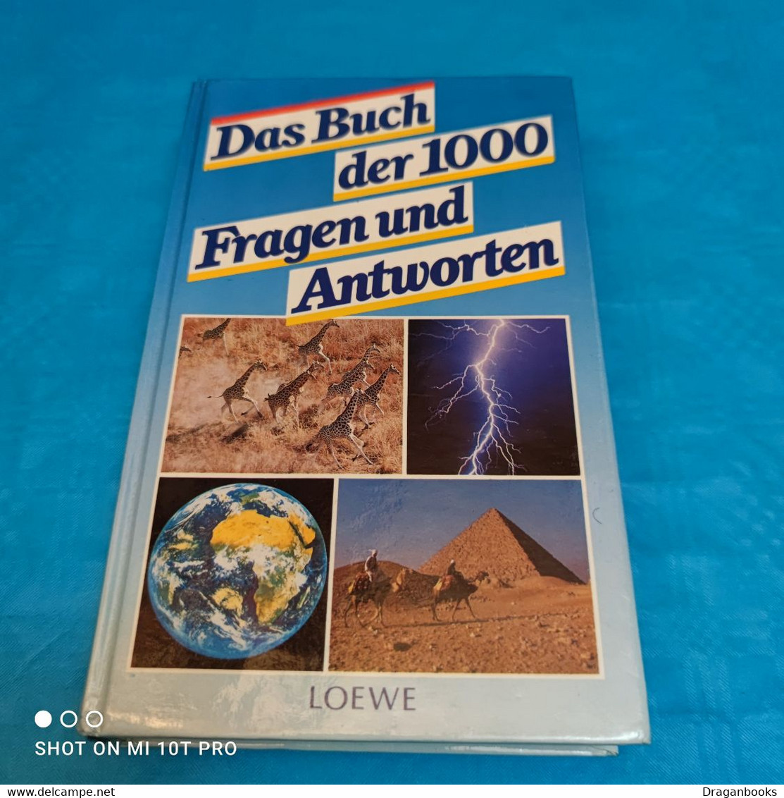 Nikolaus Lenz - Das Buch Der 1000 Fragen Und Antworten - Sachbücher