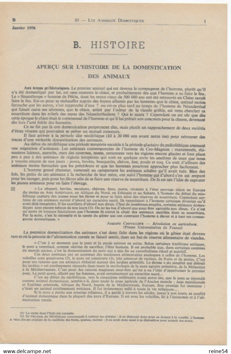 EDSCO DOCUMENTS- LES ANIMAUX DOMESTIQUES-. N°4 Janvier 1956-Pochette N°30 Support Enseignants-Les Editions Scolaires - Fichas Didácticas