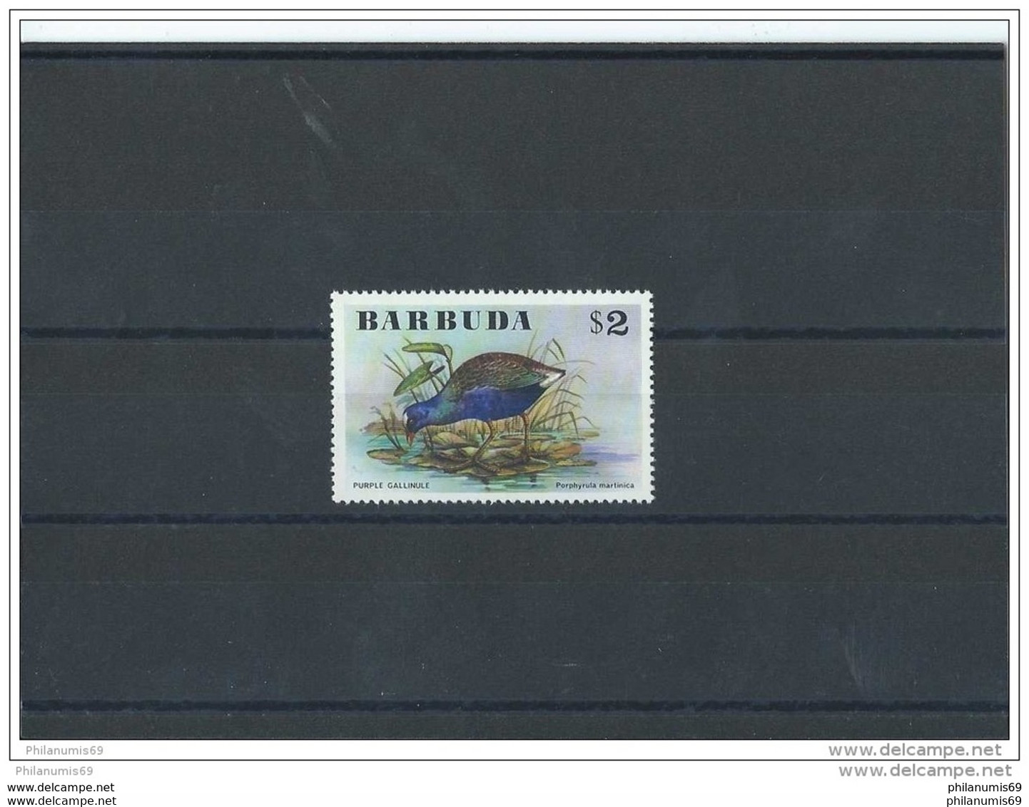 BARBUDA 1976 - YT N° 256 NEUF SANS CHARNIERE ** (MNH) GOMME D'ORIGINE LUXE - Barbuda (...-1981)