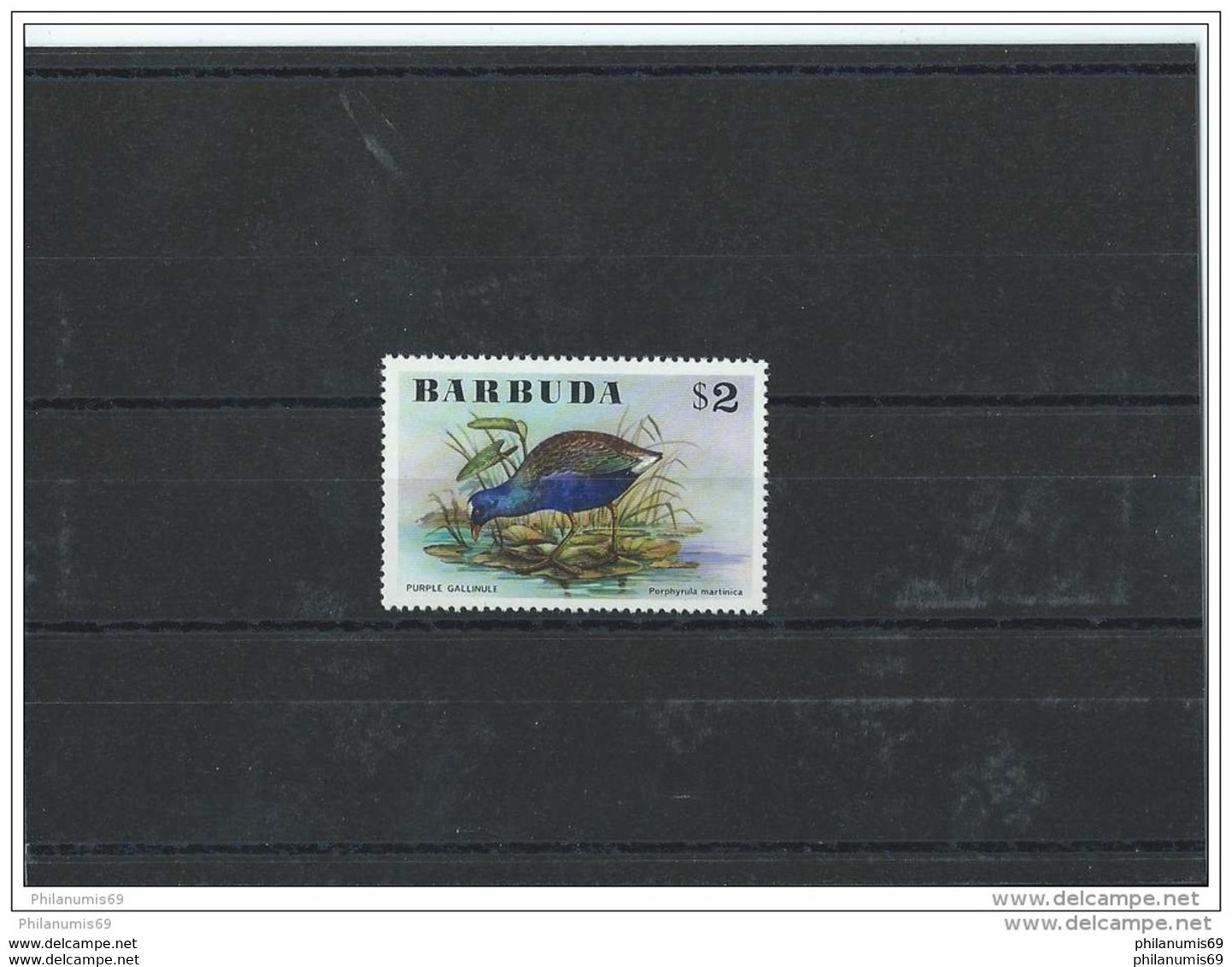 BARBUDA 1976 - YT N° 256 NEUF SANS CHARNIERE ** (MNH) GOMME D'ORIGINE LUXE - Barbuda (...-1981)