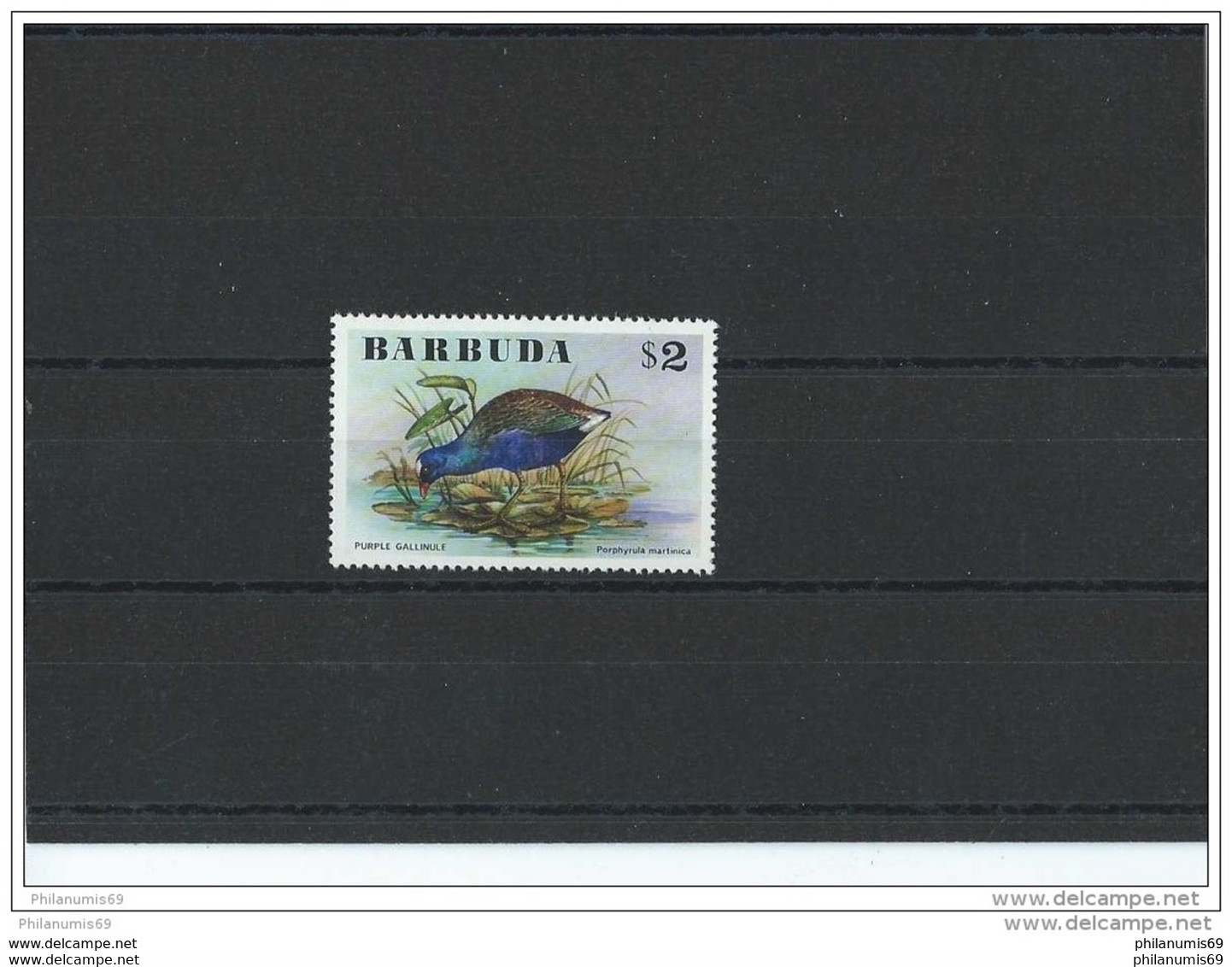 BARBUDA 1976 - YT N° 256 NEUF SANS CHARNIERE ** (MNH) GOMME D'ORIGINE LUXE - Barbuda (...-1981)