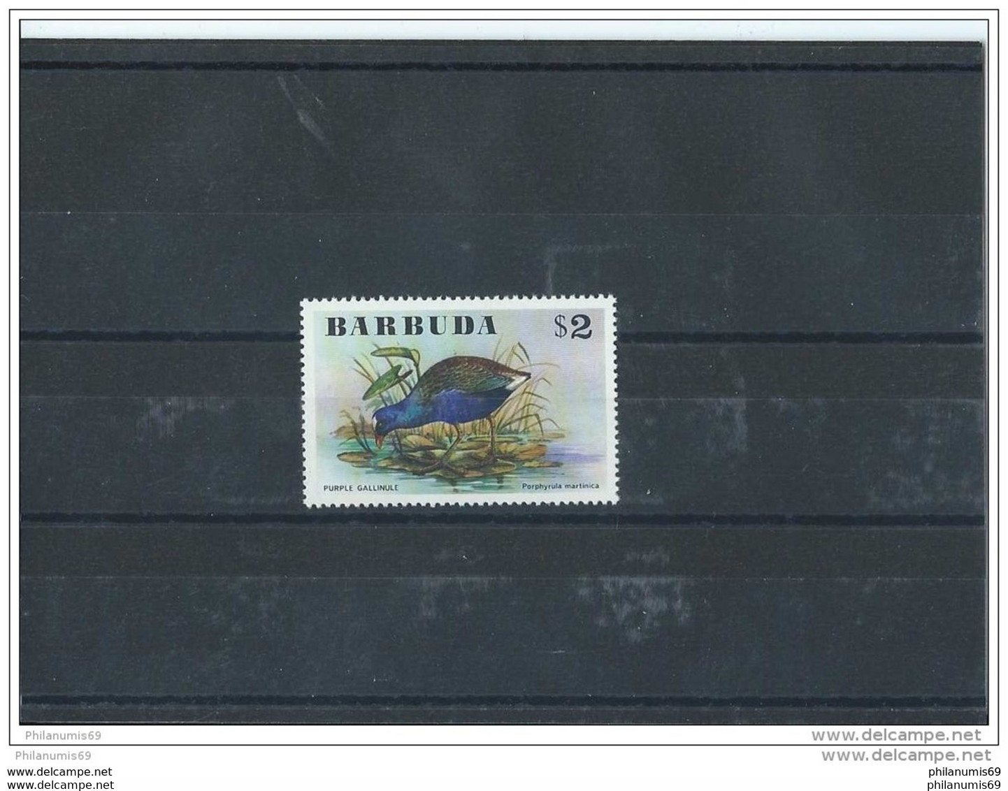 BARBUDA 1976 - YT N° 256 NEUF SANS CHARNIERE ** (MNH) GOMME D'ORIGINE LUXE - Barbuda (...-1981)