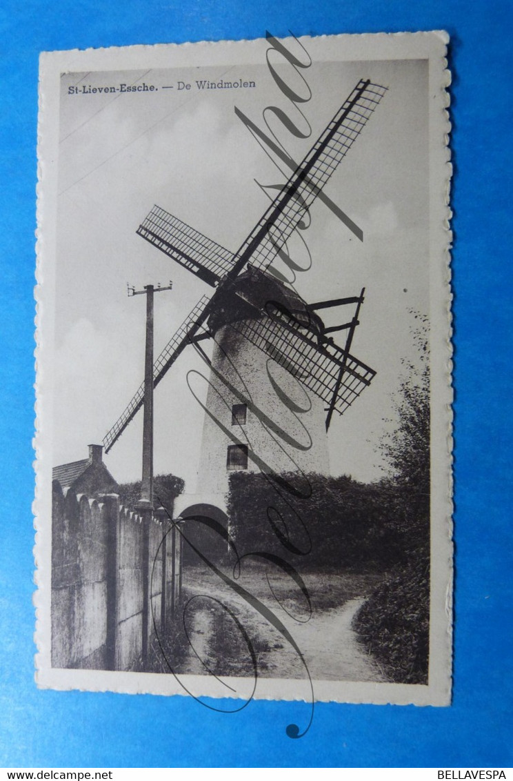 Sint-Lievens-Esse Herzele Windmolen Moulin à Vent. Molen - Herzele