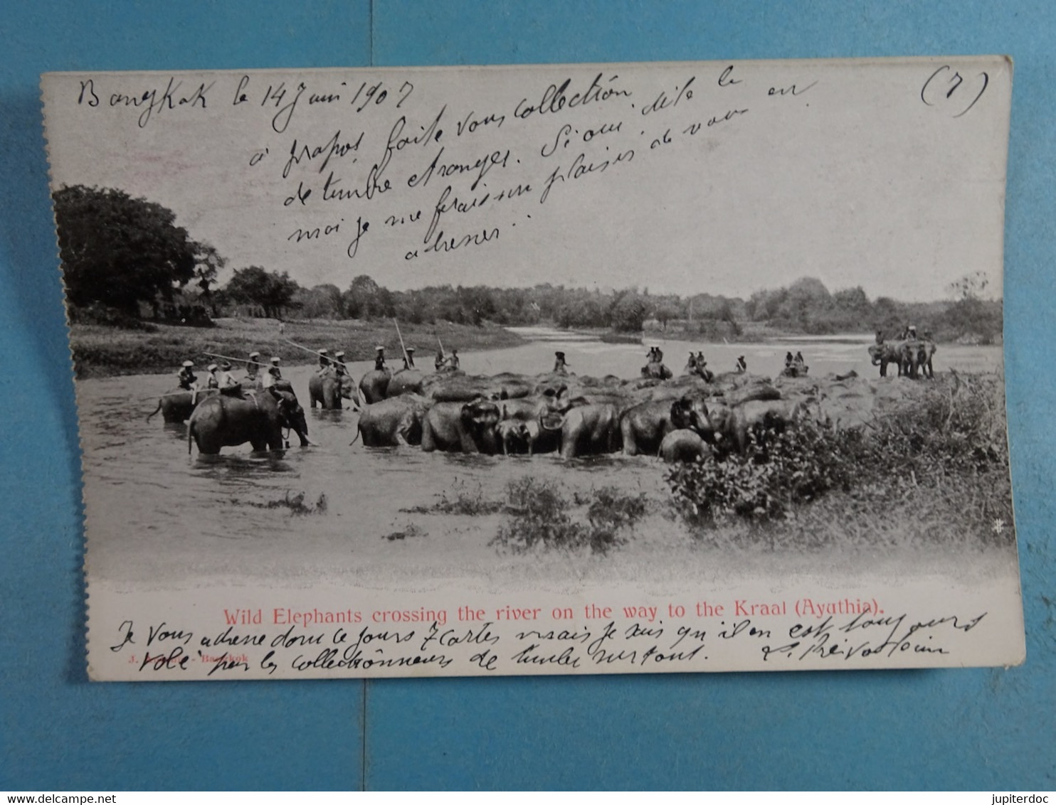 Wild Elephants Crossing The River On The Way To The Kraal (Ayuthia) - Tailandia