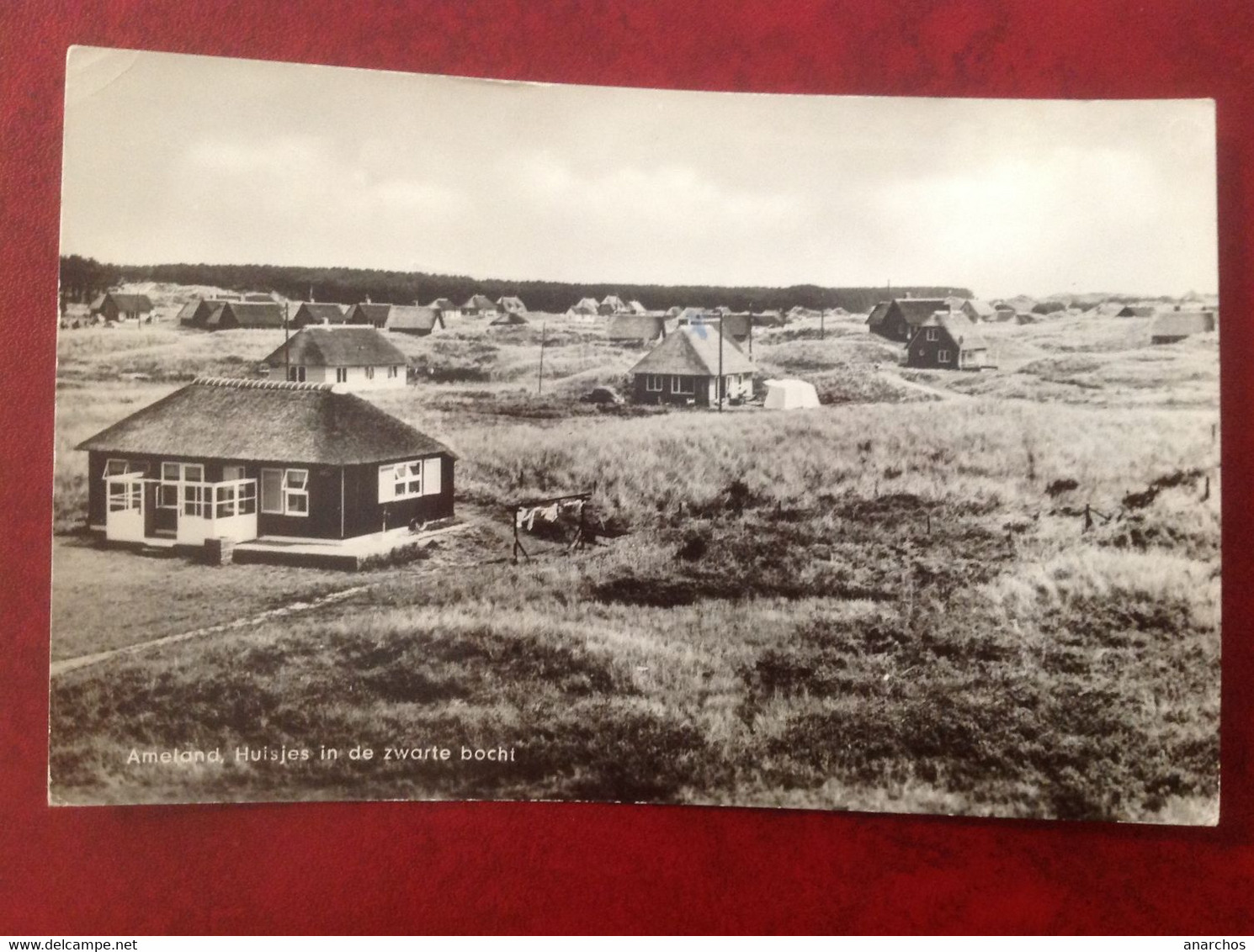 Ameland Huisjes In De Zwarte Bocht (Bijzonder) - Ameland