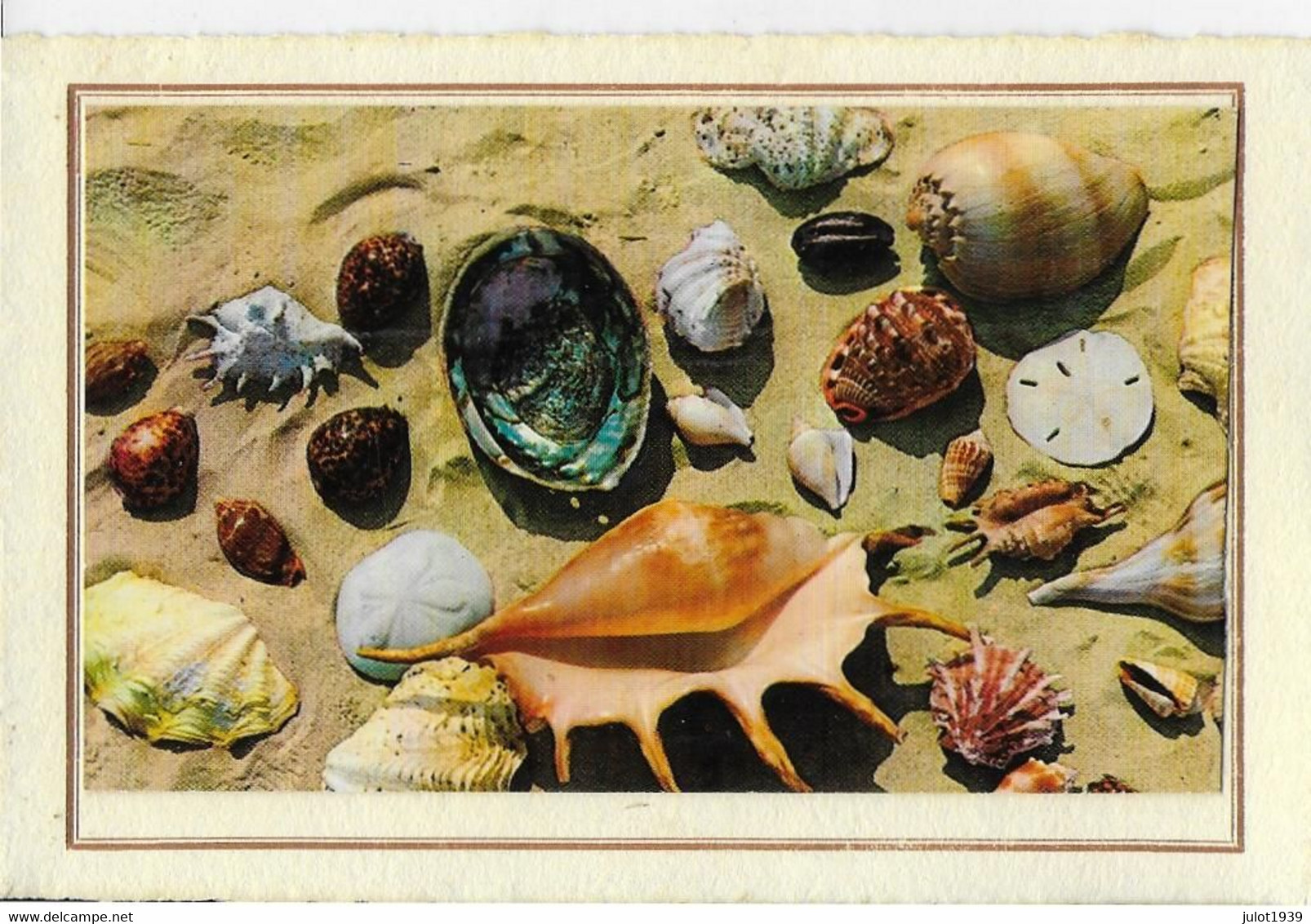 AA+....MIDDELKERKE ..-- BAZAR STUDIO  R. MUYLE . Carte De VOEUX . FRUITS De MER . - Middelkerke