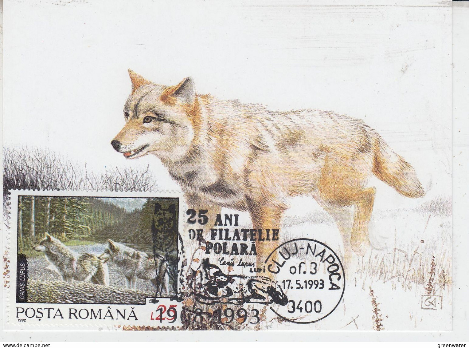 Romania Polar Fox 1v Maxicard  Ca 17.5.1993 (58280) - Arctic Tierwelt