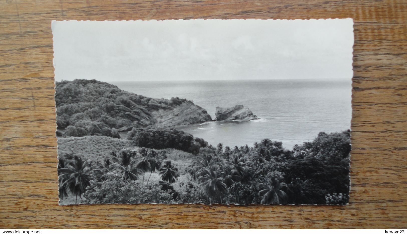 Martinique , Trinité , La Côte Entre Trinité Et Sainte-marie - La Trinite