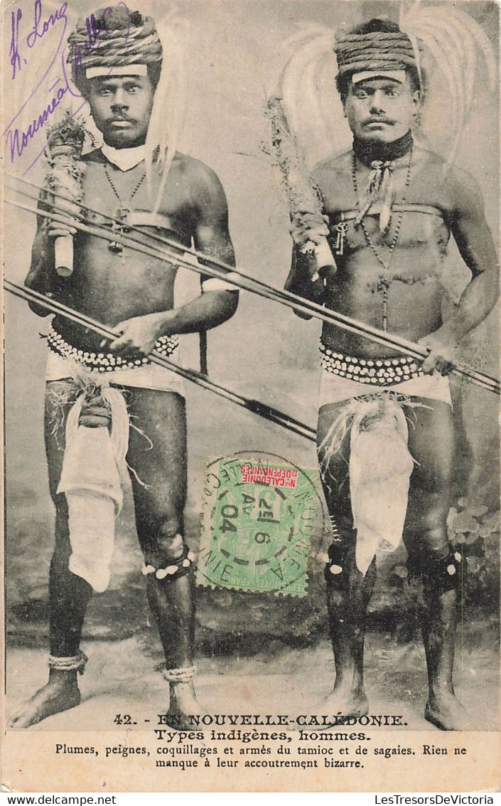 CPA NOUVELLE CALEDONIE - Types Indigènes - Hommes - Plumes -peignes - Coquillages - Tamioc - Sagaie - Nuova Caledonia