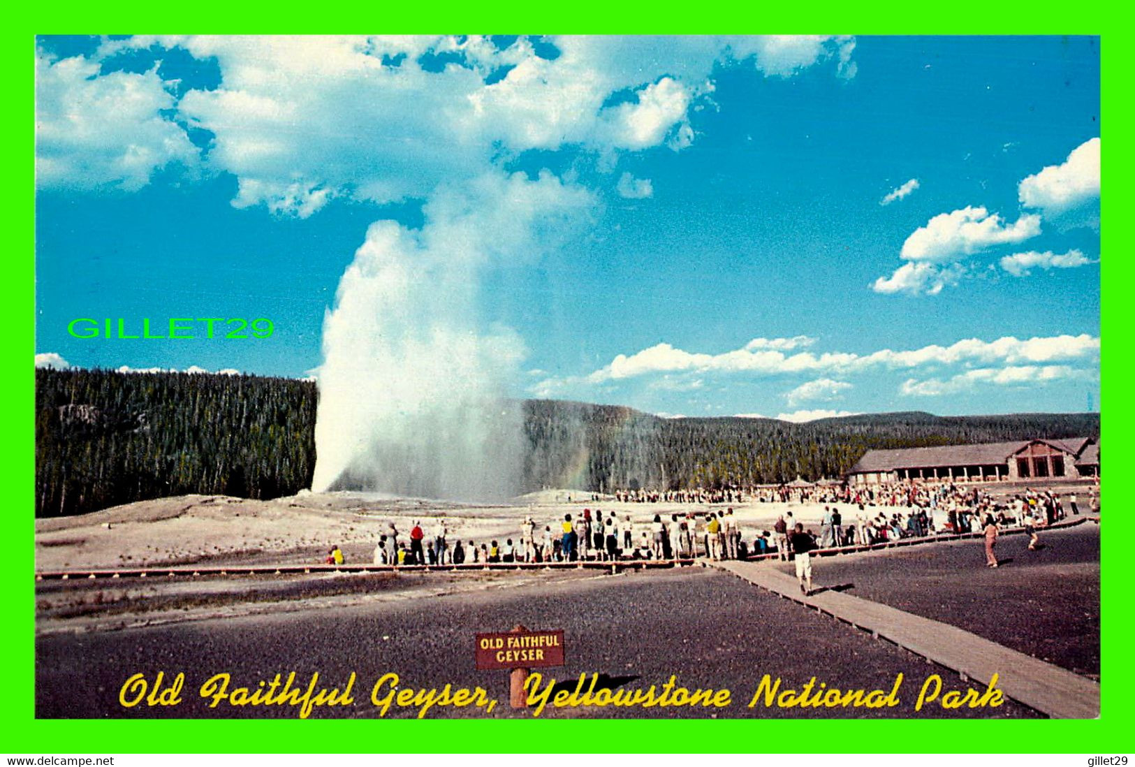 YELLOWSTONE, WY - OLD FAITHFUL GEYSER, YELLOWSTONE NATIONAL PARK -  WRITTEN - - Yellowstone