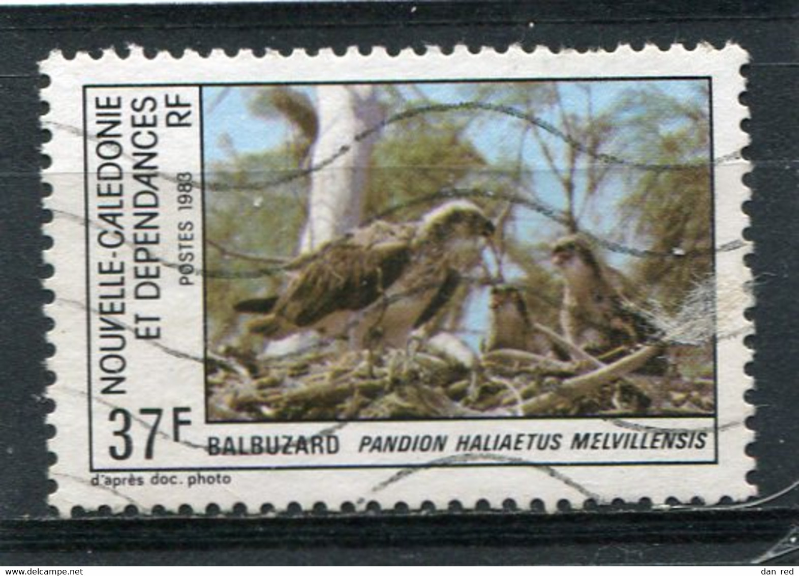 NOUVELLE CALEDONIE  N°  480  (Y&T)  (Oblitéré) - Used Stamps