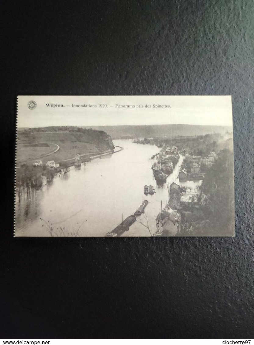 B1545- Wepion Inondation Panorama Pris Des Spinettes - Wanze