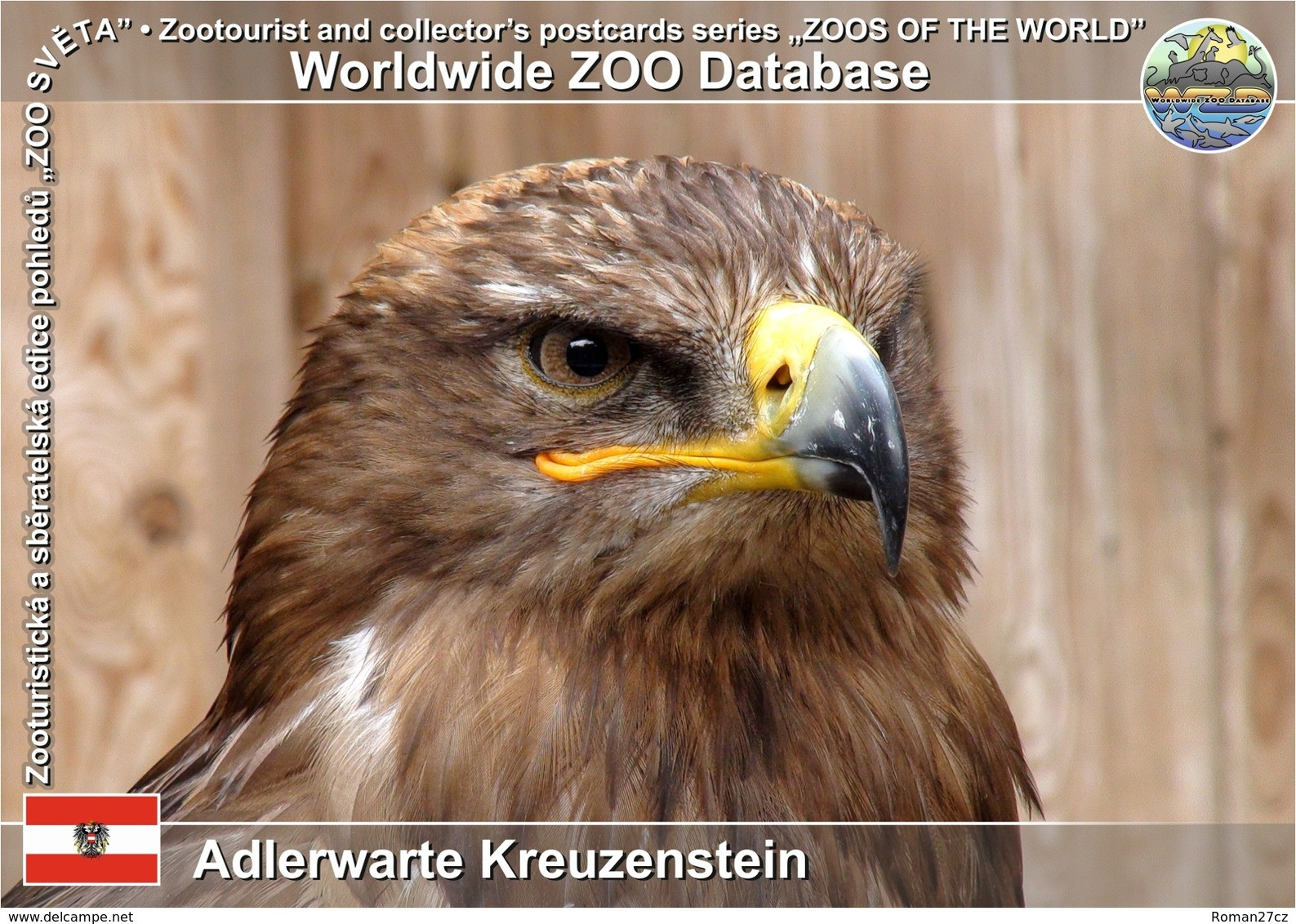 781 Adlerwarte Kreuzensein, AT - Steppe Eagle (Aquila Nipalensis) - Korneuburg