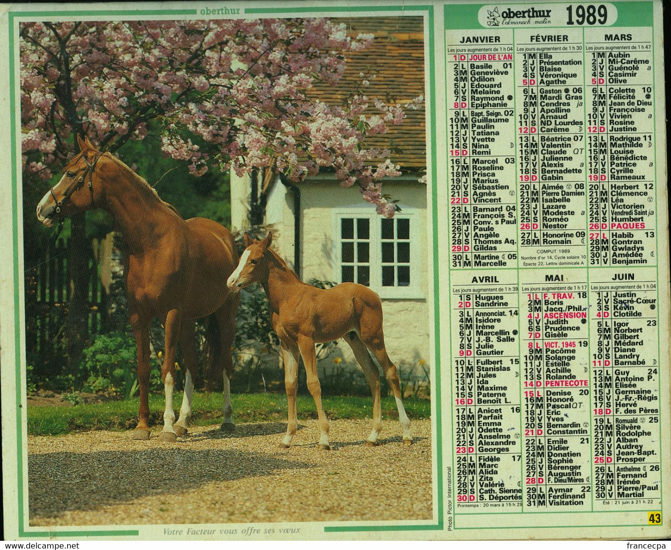 078 - ALMANACH DES P.T.T  1989     -  ANNEE DE VOTRE NAISSANCE - Groot Formaat: 1981-90