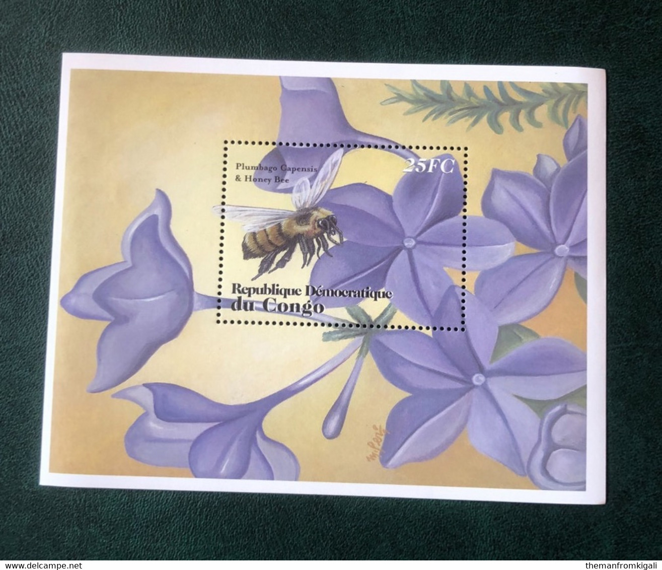 Congo DRC 2001 - Flowers And Insects - Other & Unclassified