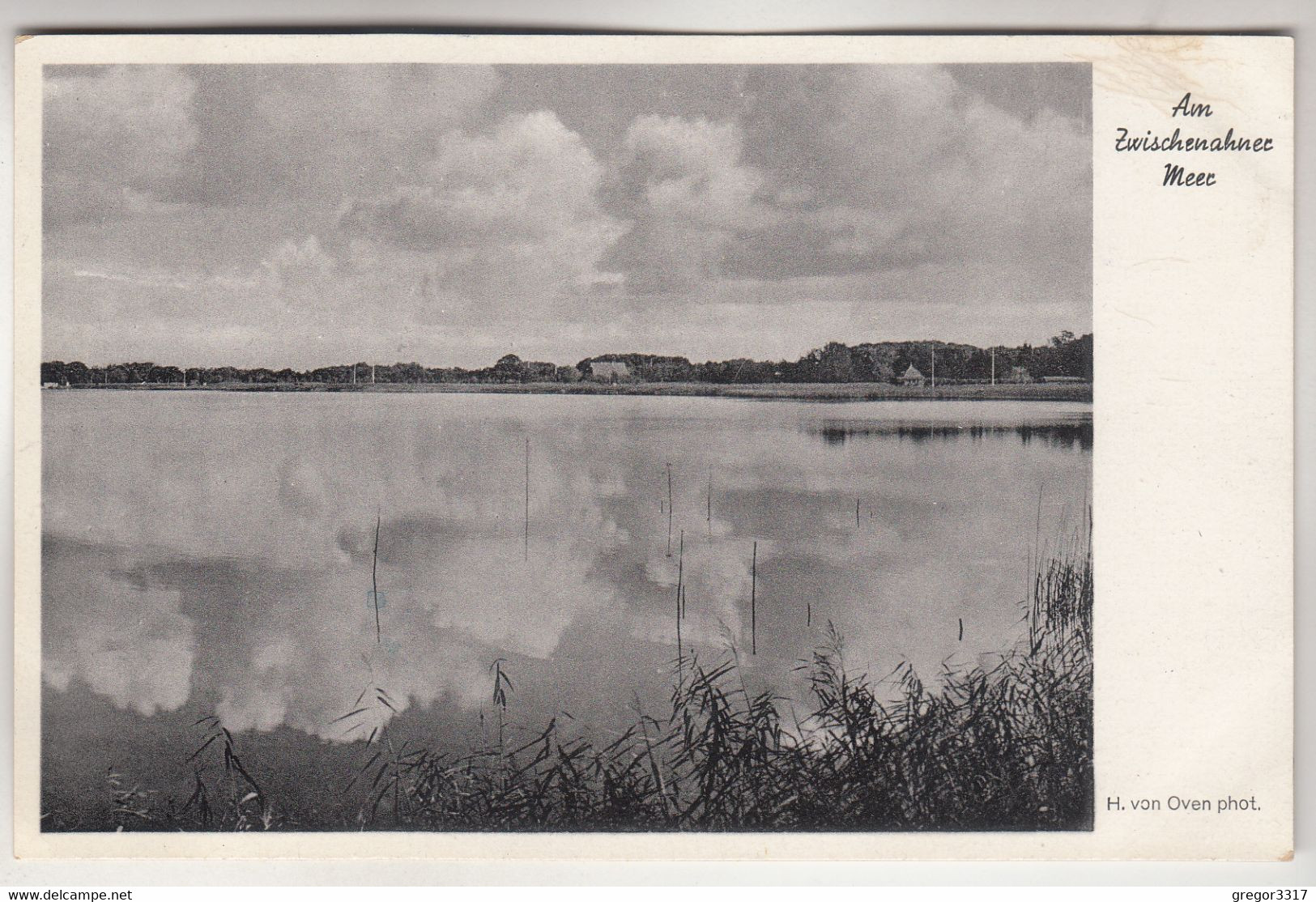 C1749) Am ZWISCHENAHNER MEER - Zwischenahn - H. Von Oven Phot. - Bad Zwischenahn