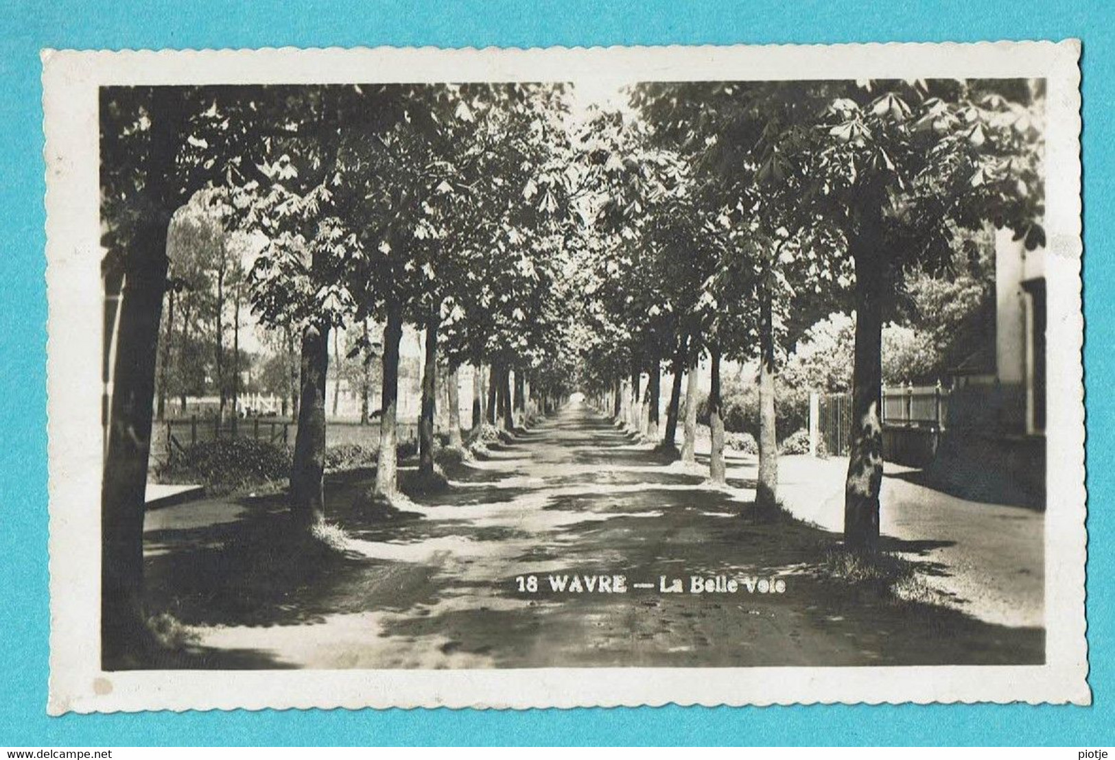 * Wavre - Waver (Waals Brabant Wallon) * (Carte Photo - Fotokaart, Nr 18) La Belle Voie, Allée, Arbres, Parc, Old - Wavre