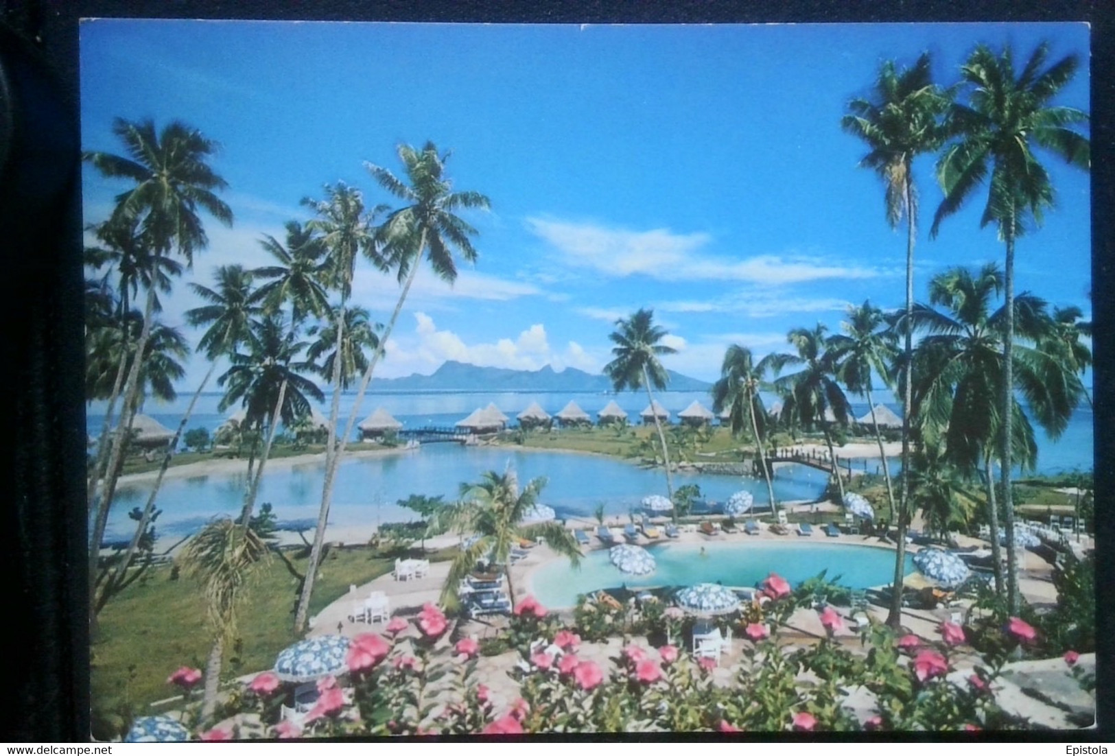 ►  Hotel Piscine BEACHCOMBER  70/80S   (Tahiti) -   POLYNESIE   FRANÇAISE - Polynésie Française