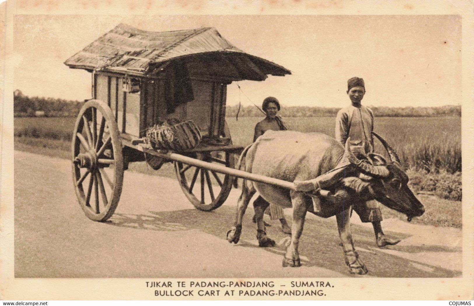 INDONESIE - S04965 - Tjikar Te Padang Pandjang - Sumatra - Bullocl Cart At Padang Pandjang - L8 - Indonesië