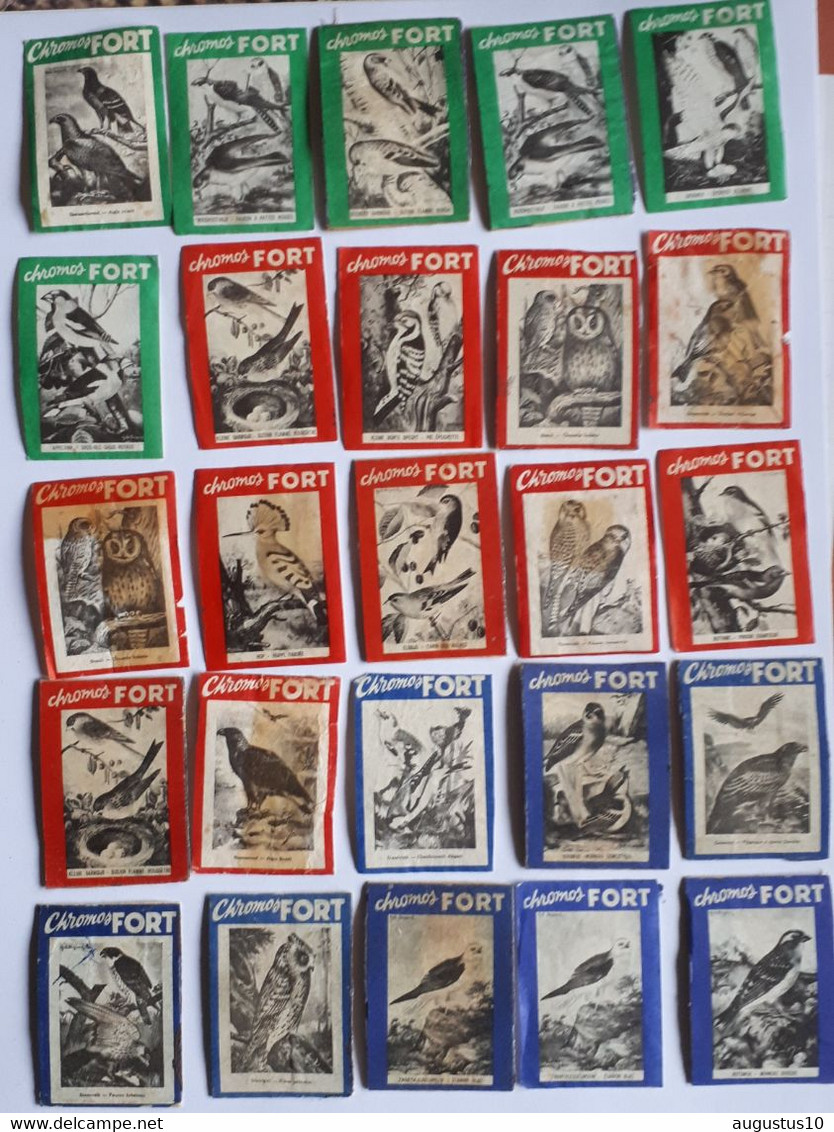 25 Vintage Lucifersetiketten / Matchboxeslabels FORT : INHEEMSE VOGELS - Zündholzschachteletiketten